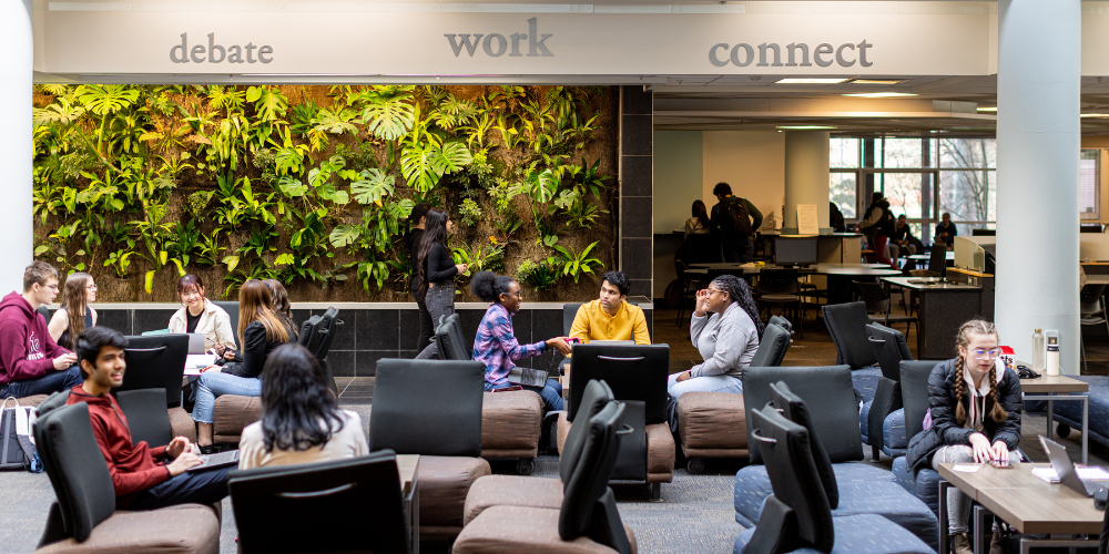 Students work in the Atrium space outside of the library