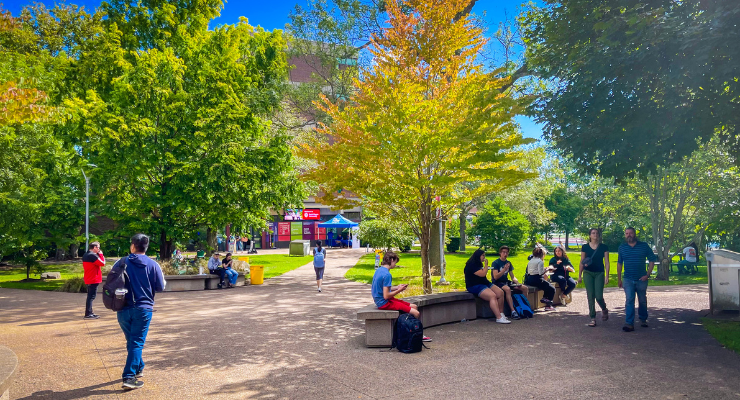 Campus quad on a bright sunny day with people walking and sitting